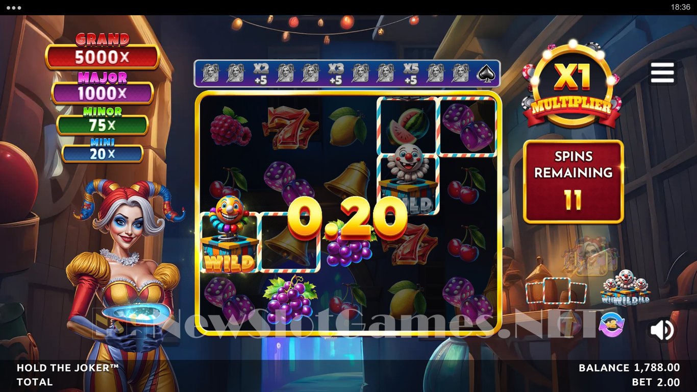 Hold the Joker Slot Slot Image in Demo - pic. 12