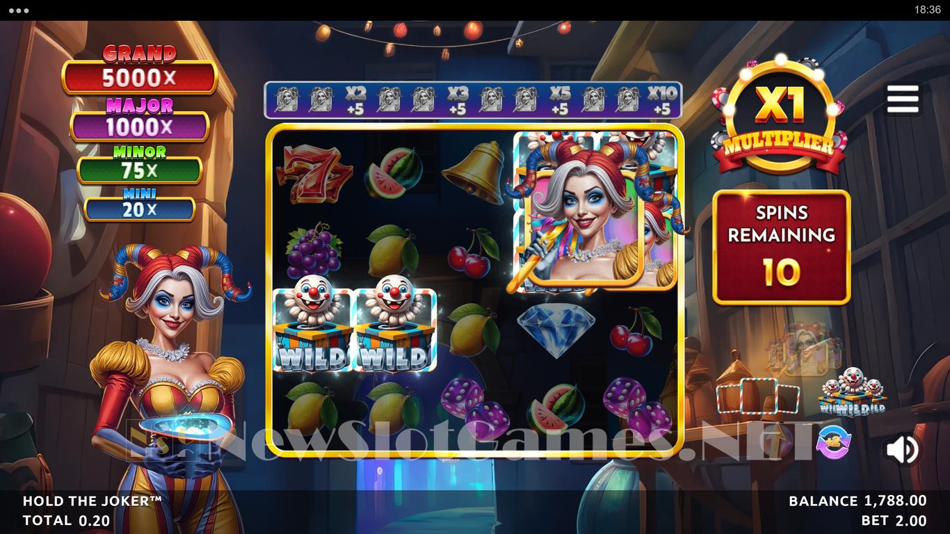 Hold the Joker Slot Slot Image in Demo - pic. 13