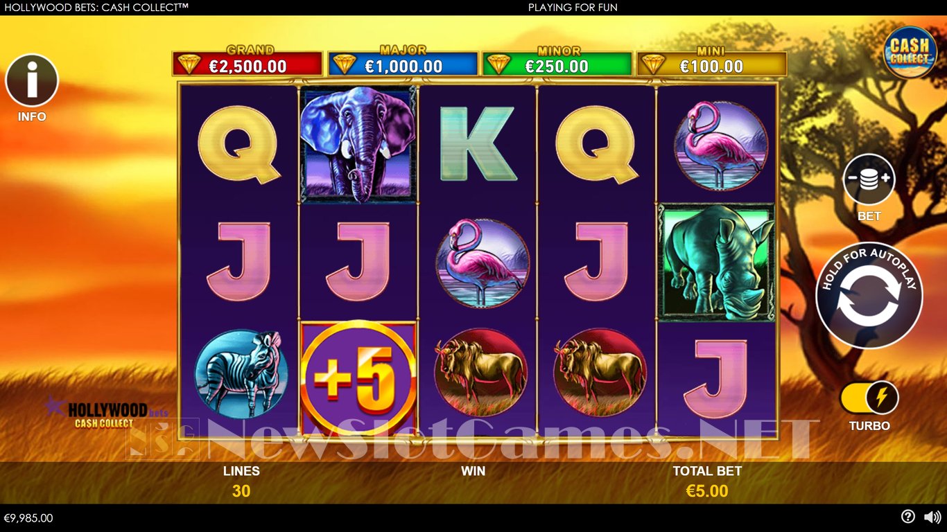 Hollywood Bets Cash Collect Slot Slot Image in Demo - pic. 2