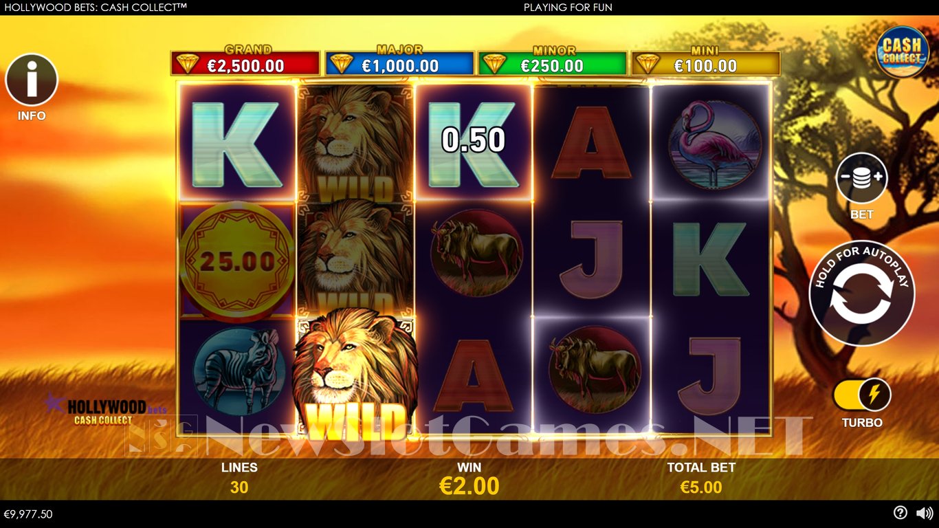 Hollywood Bets Cash Collect Slot Slot Image in Demo - pic. 3