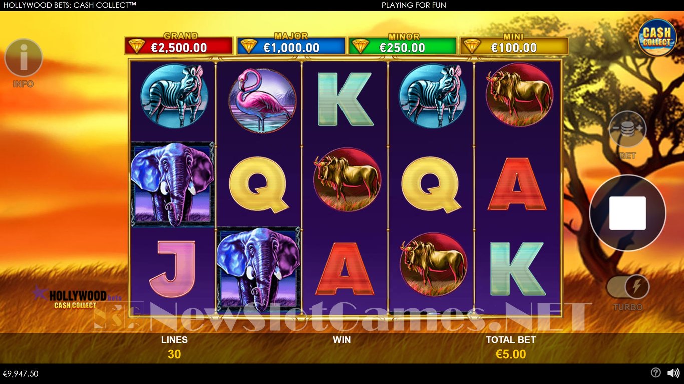 Hollywood Bets Cash Collect Slot Slot Image in Demo - pic. 5