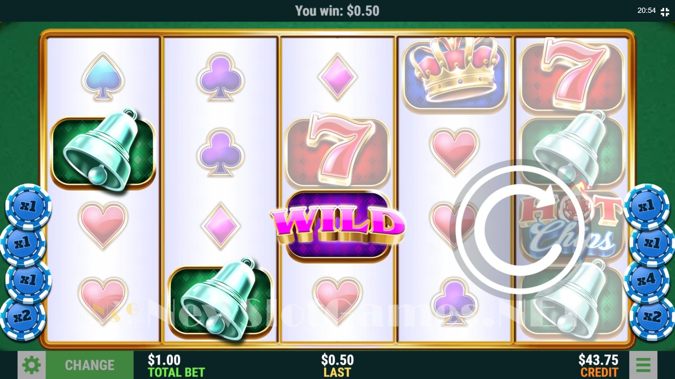 Hot Chips Slot Slot Image in Demo - pic. 6