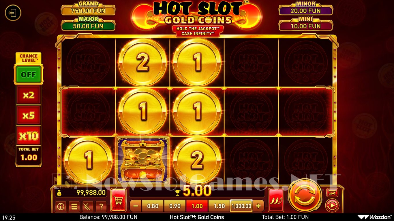 Hot Slot Gold Coins Slot Slot Image in Demo - pic. 8