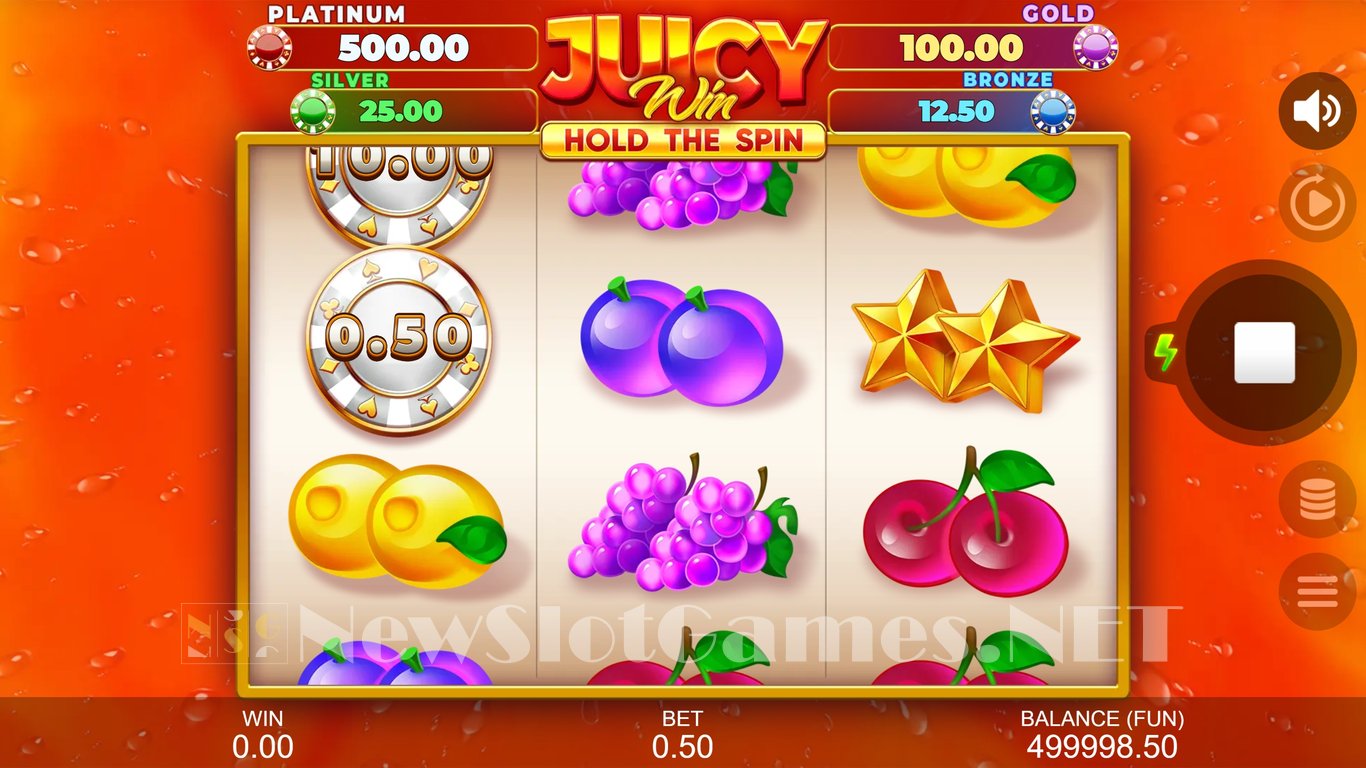 Juicy Win Hold The Spin Slot Slot Image in Demo - pic. 2
