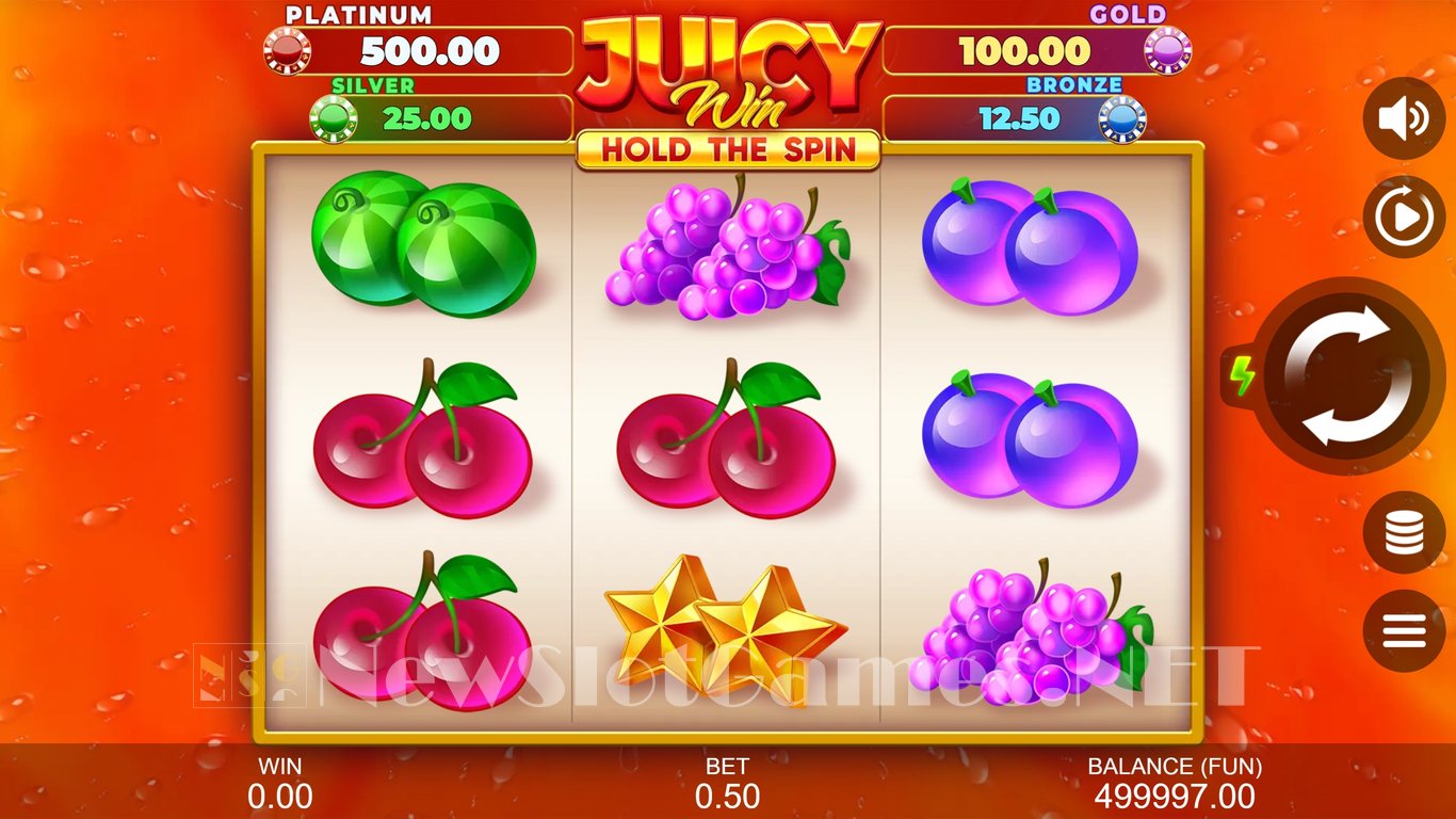 Juicy Win Hold The Spin Slot Slot Image in Demo - pic. 3
