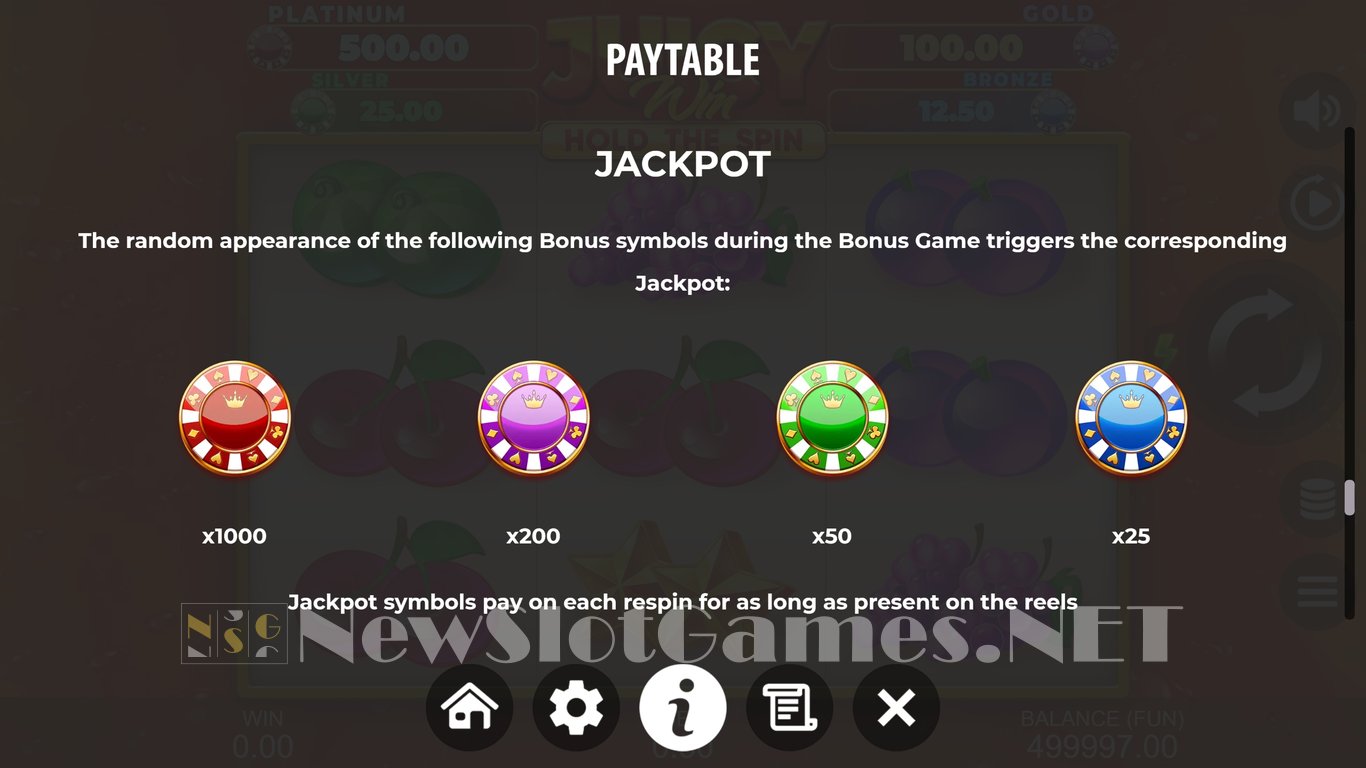 Juicy Win Hold The Spin Slot Slot Image in Demo - pic. 5