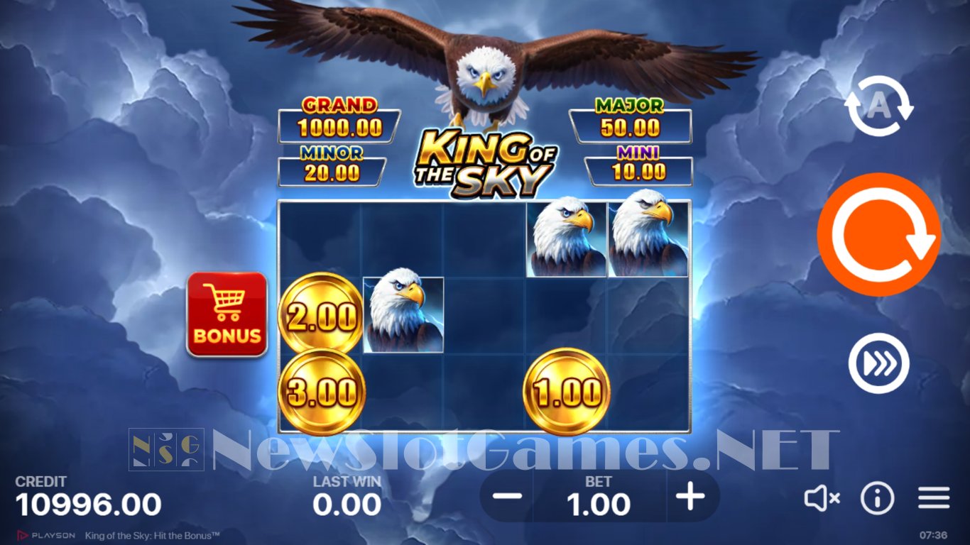King of the Sky Hit the Bonus Slot Slot Image in Demo - pic. 2