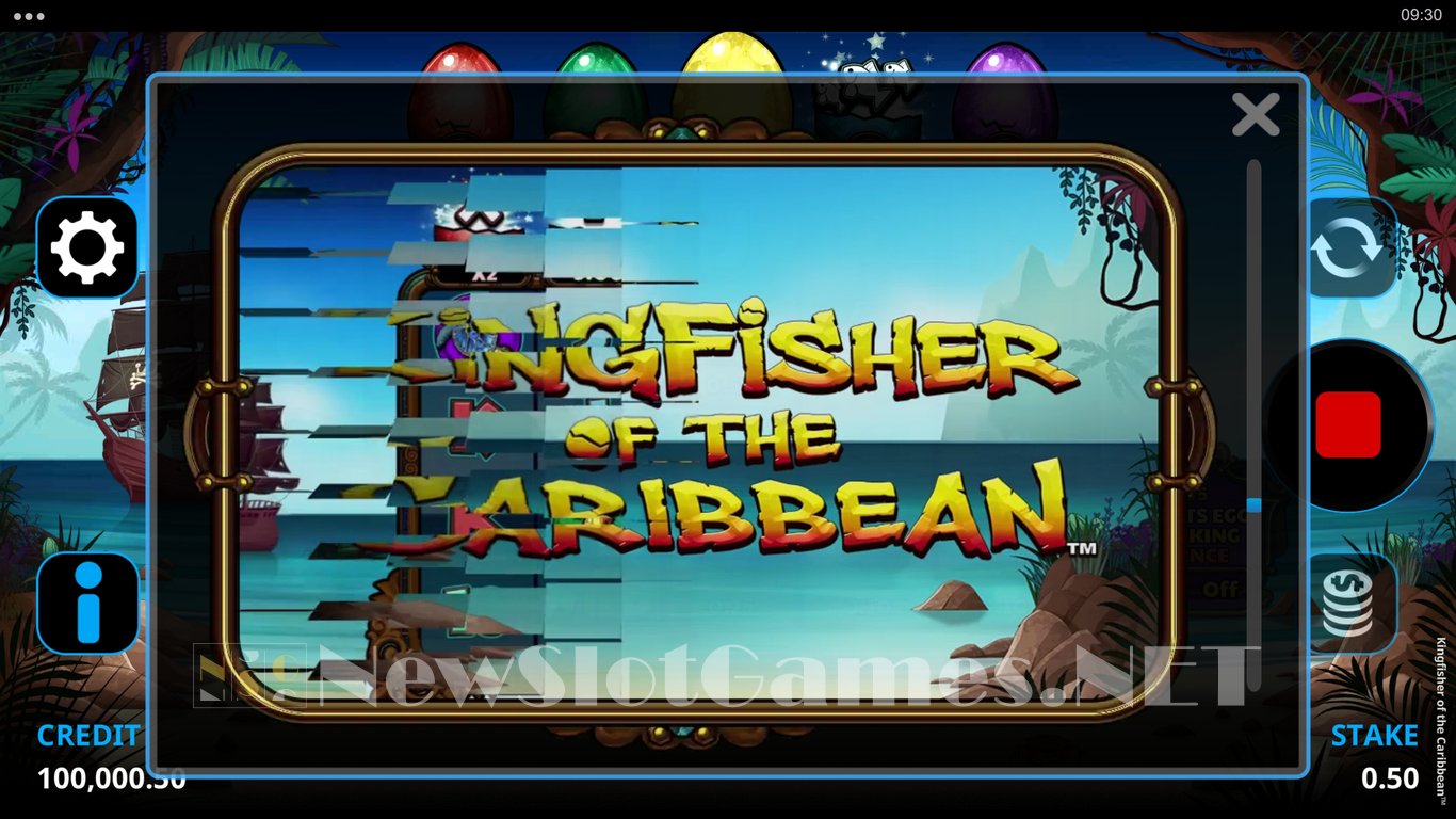Kingfisher of the Caribbean Slot Slot Image in Demo - pic. 10