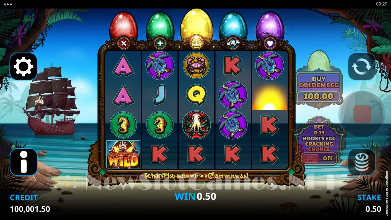Kingfisher of the Caribbean Slot Slot Image in Demo - pic. 3