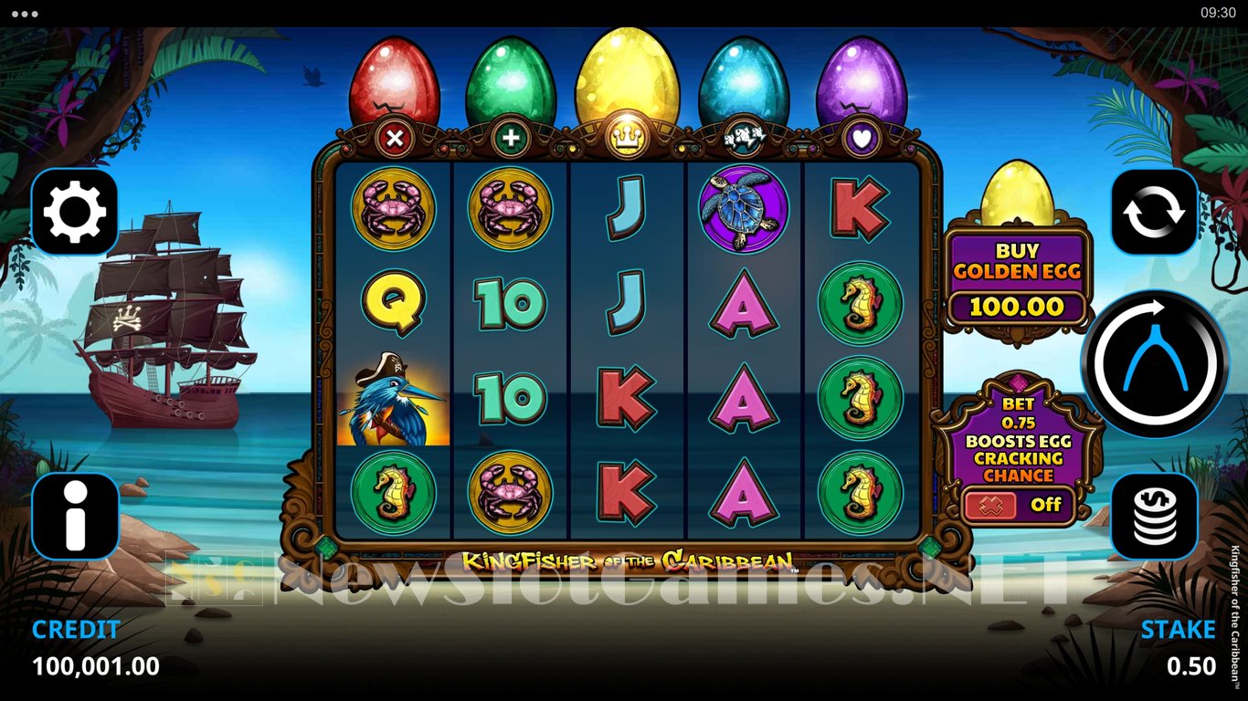 Kingfisher of the Caribbean Slot Slot Image in Demo - pic. 4