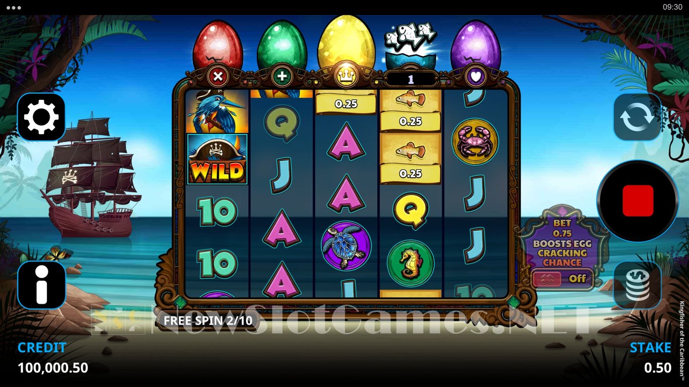 Kingfisher of the Caribbean Slot Slot Image in Demo - pic. 6