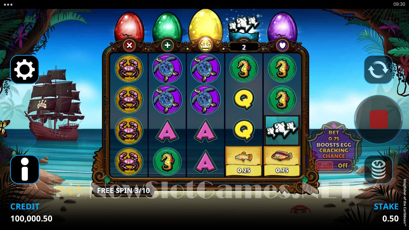Kingfisher of the Caribbean Slot Slot Image in Demo - pic. 7