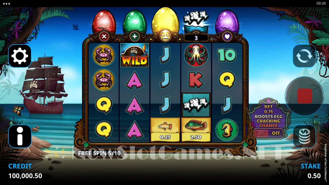Kingfisher of the Caribbean Slot Slot Image in Demo - pic. 8