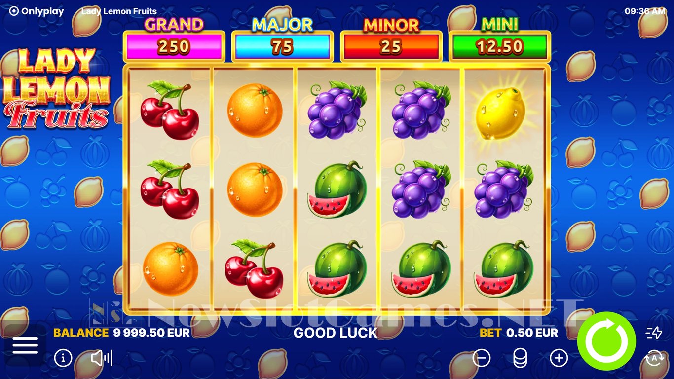 Lady Lemon Fruits Slot Slot Image in Demo - pic. 2