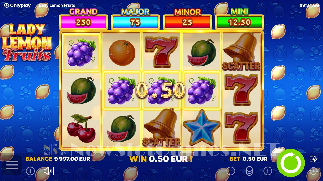Lady Lemon Fruits Slot Slot Image in Demo - pic. 4