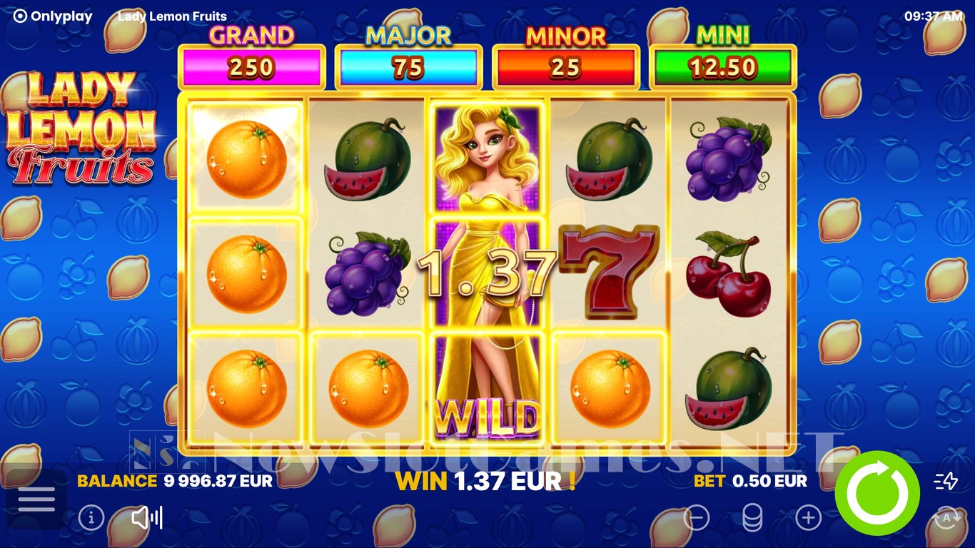 Lady Lemon Fruits Slot Slot Image in Demo - pic. 5