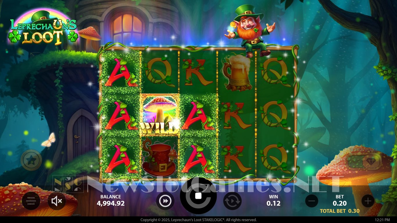 Leprechauns Loot Slot Slot Image in Demo - pic. 4