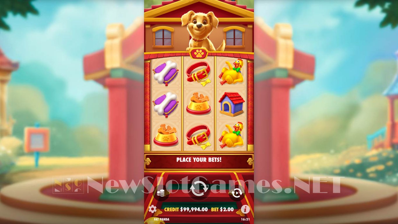 Lucky Dog Slot Slot Image in Demo - pic. 2