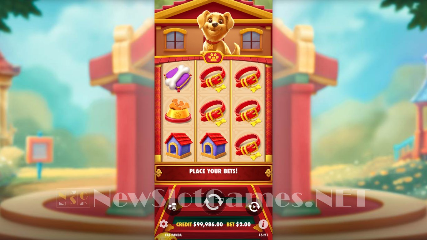 Lucky Dog Slot Slot Image in Demo - pic. 3