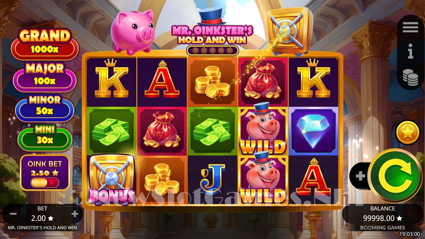 Mr. Oinksters Hold and Win Slot Slot Image in Demo - pic. 2