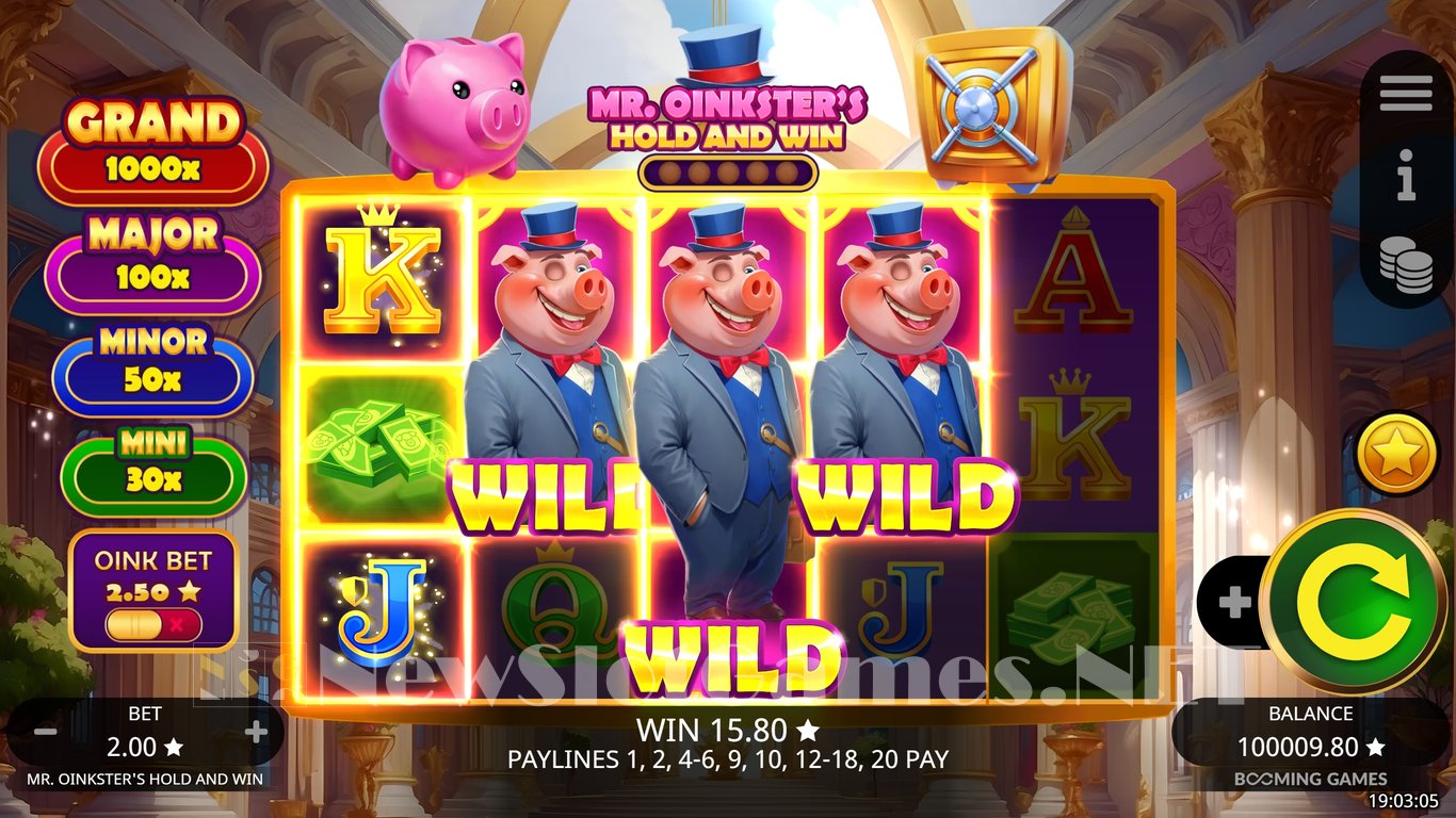 Mr. Oinksters Hold and Win Slot Slot Image in Demo - pic. 4