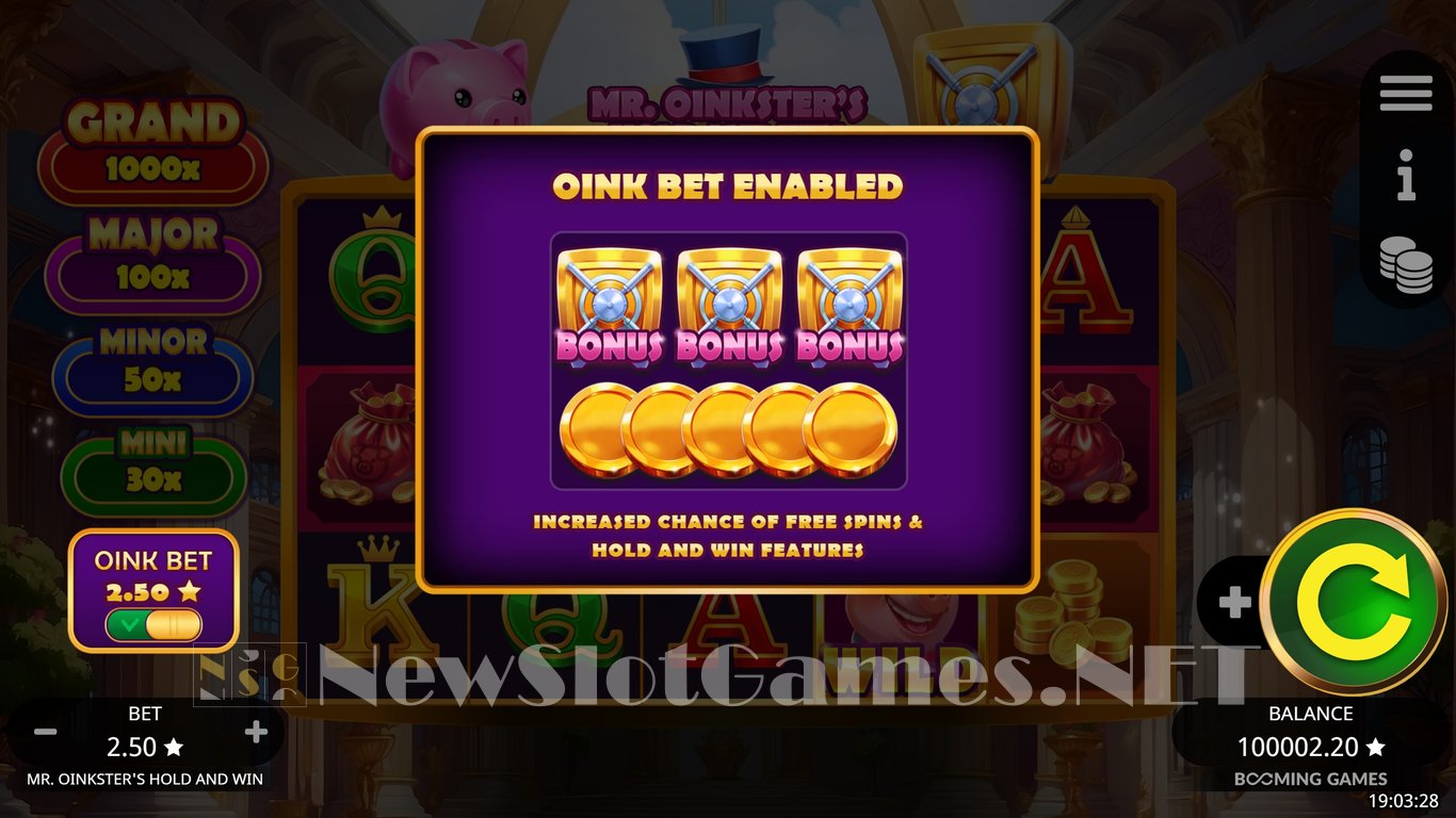 Mr. Oinksters Hold and Win Slot Slot Image in Demo - pic. 5