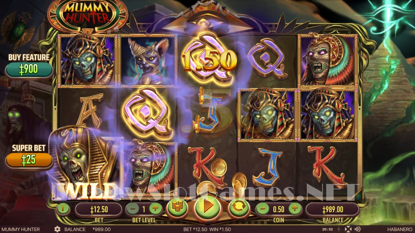 Mummy Hunter Slot Demo Image