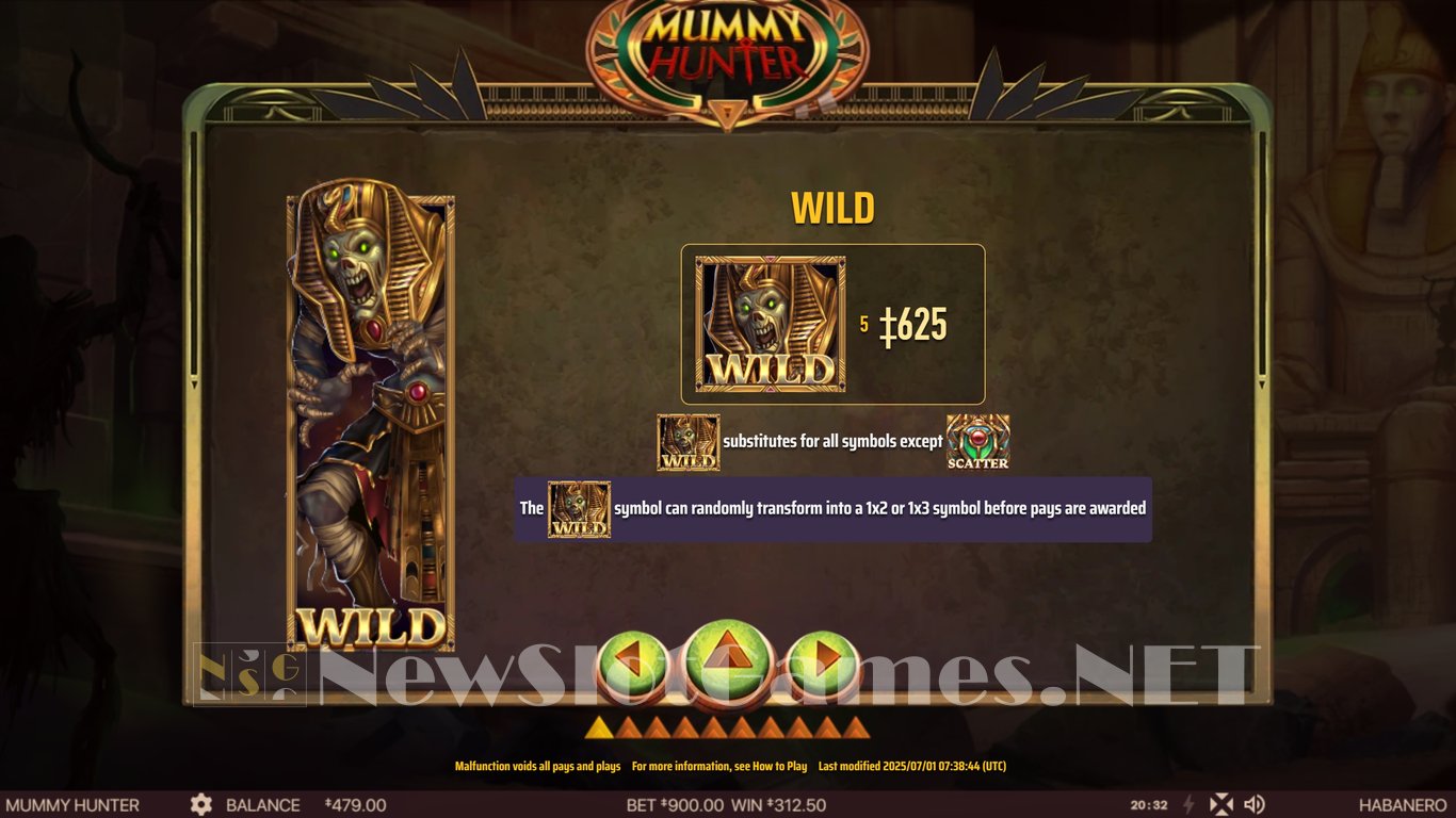 Mummy Hunter Slot Slot Image in Demo - pic. 11