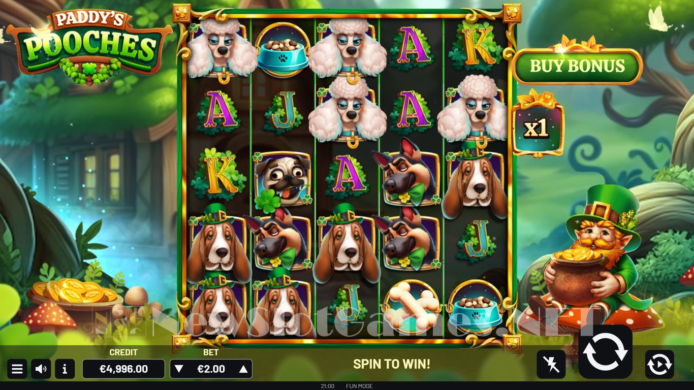 Paddys Pooches Slot Slot Image in Demo - pic. 2