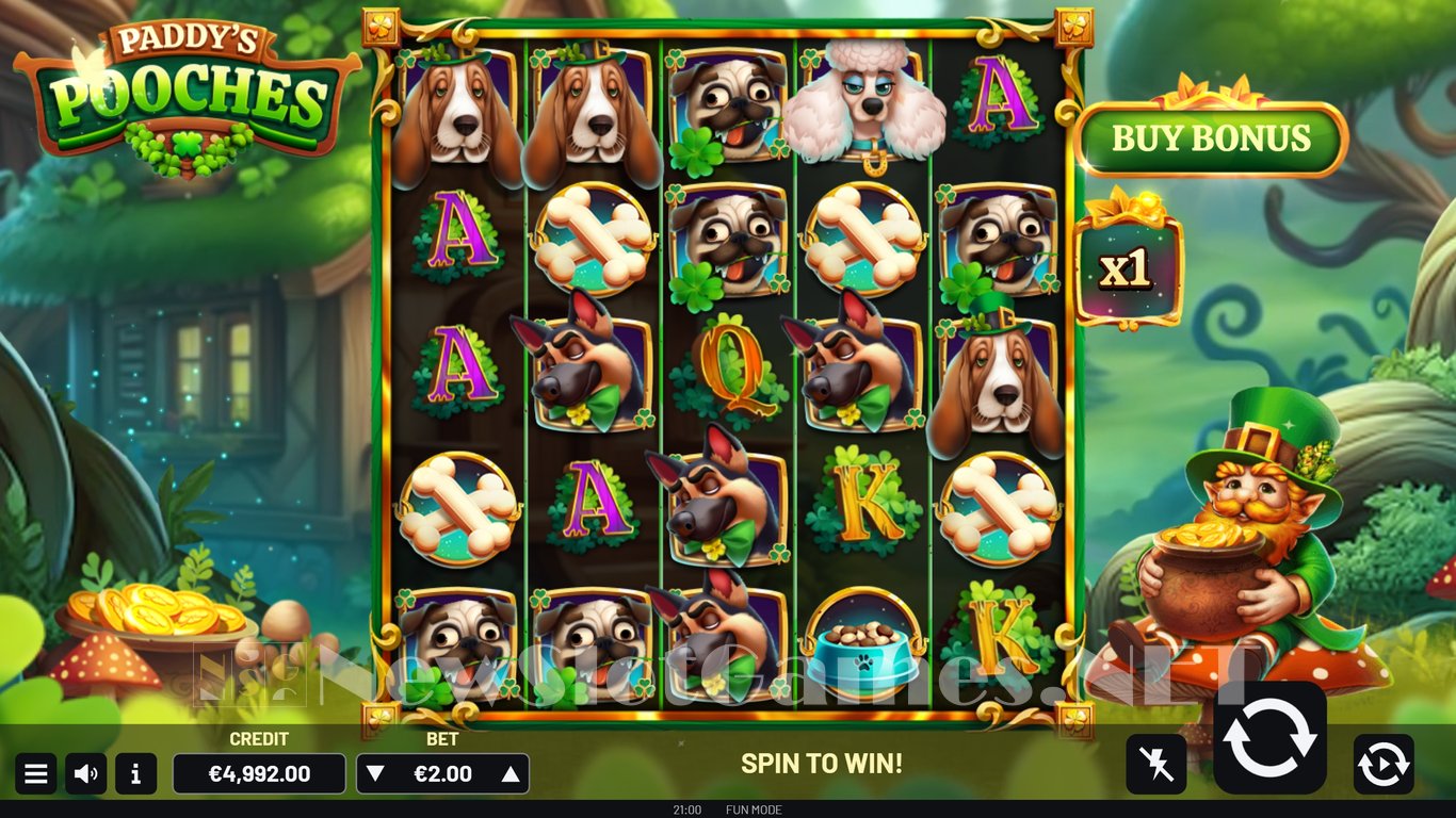 Paddys Pooches Slot Slot Image in Demo - pic. 3