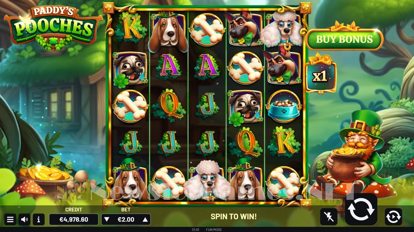 Paddys Pooches Slot Slot Image in Demo - pic. 6