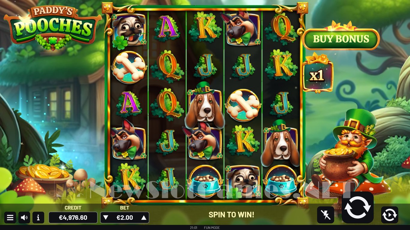 Paddys Pooches Slot Slot Image in Demo - pic. 7