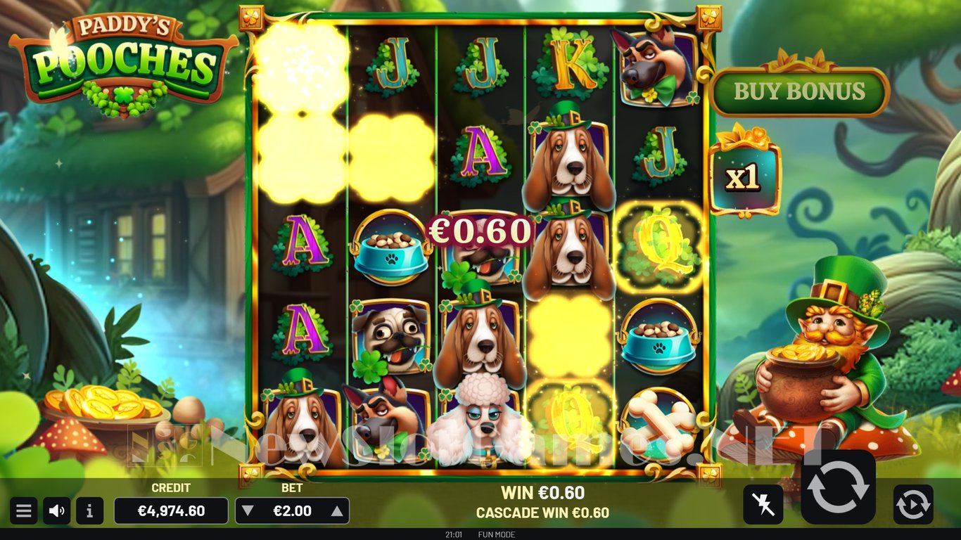 Paddys Pooches Slot Slot Image in Demo - pic. 8
