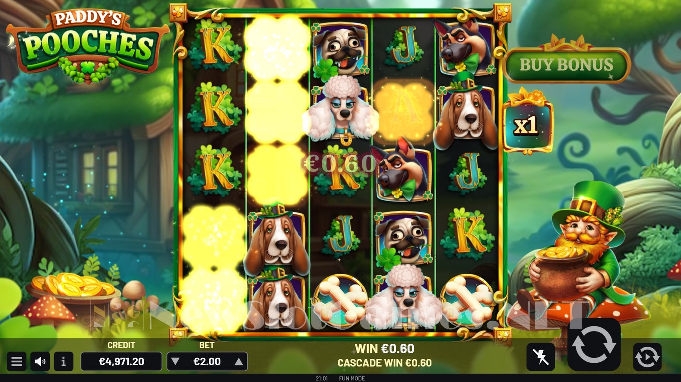 Paddys Pooches Slot Slot Image in Demo - pic. 9