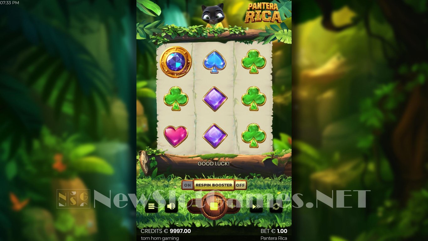 Pantera Rica Slot Slot Image in Demo - pic. 2