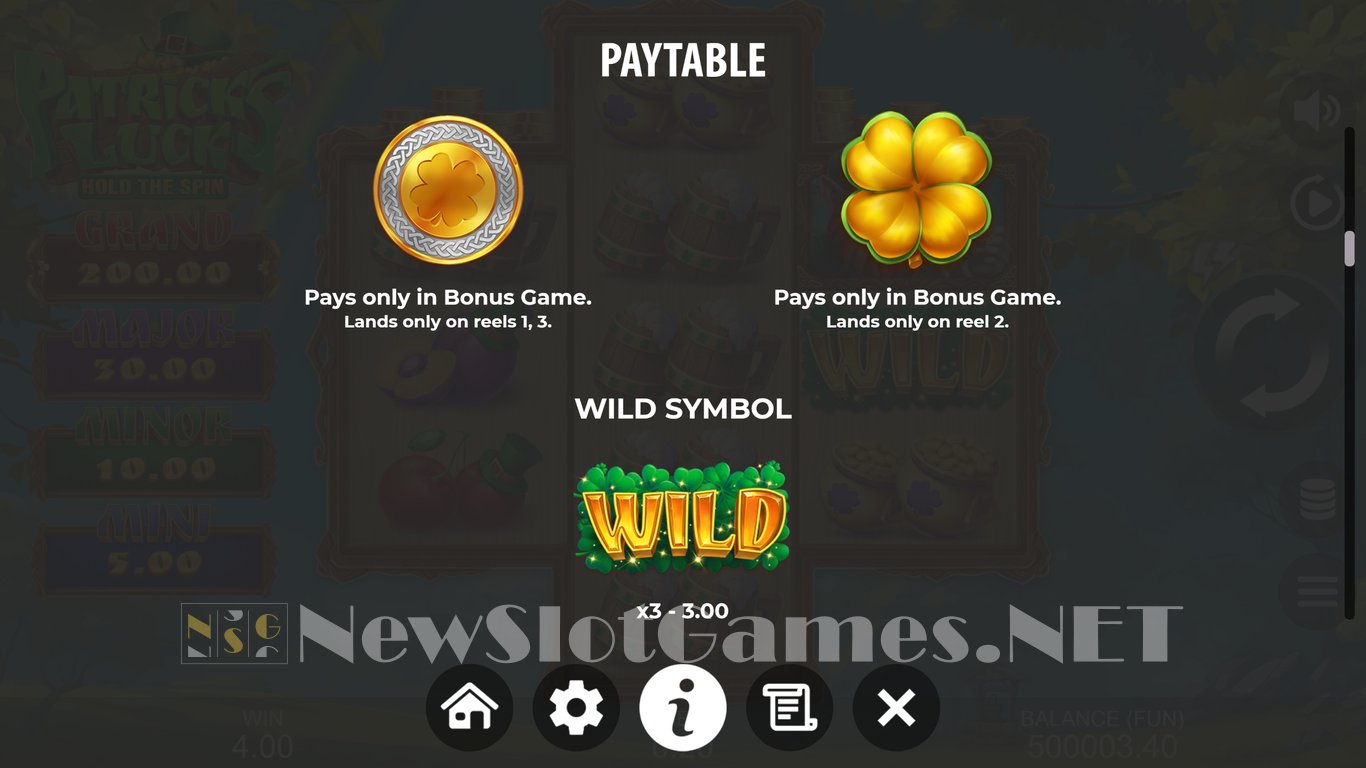 Patricks Luck Hold The Spin Slot Slot Image in Demo - pic. 7
