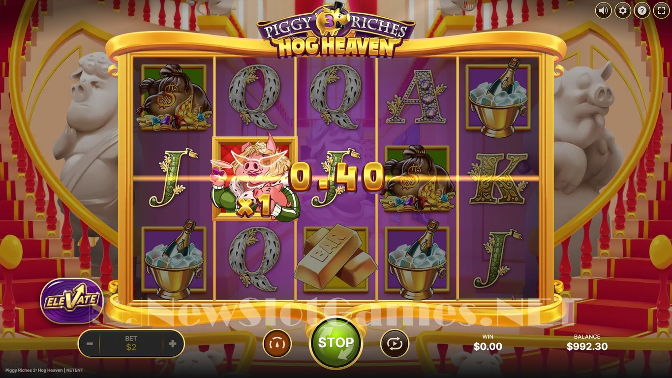 Piggy Riches 3 Hog Heaven Slot Slot Image in Demo - pic. 3