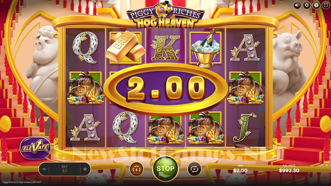 Piggy Riches 3 Hog Heaven Slot Slot Image in Demo - pic. 5
