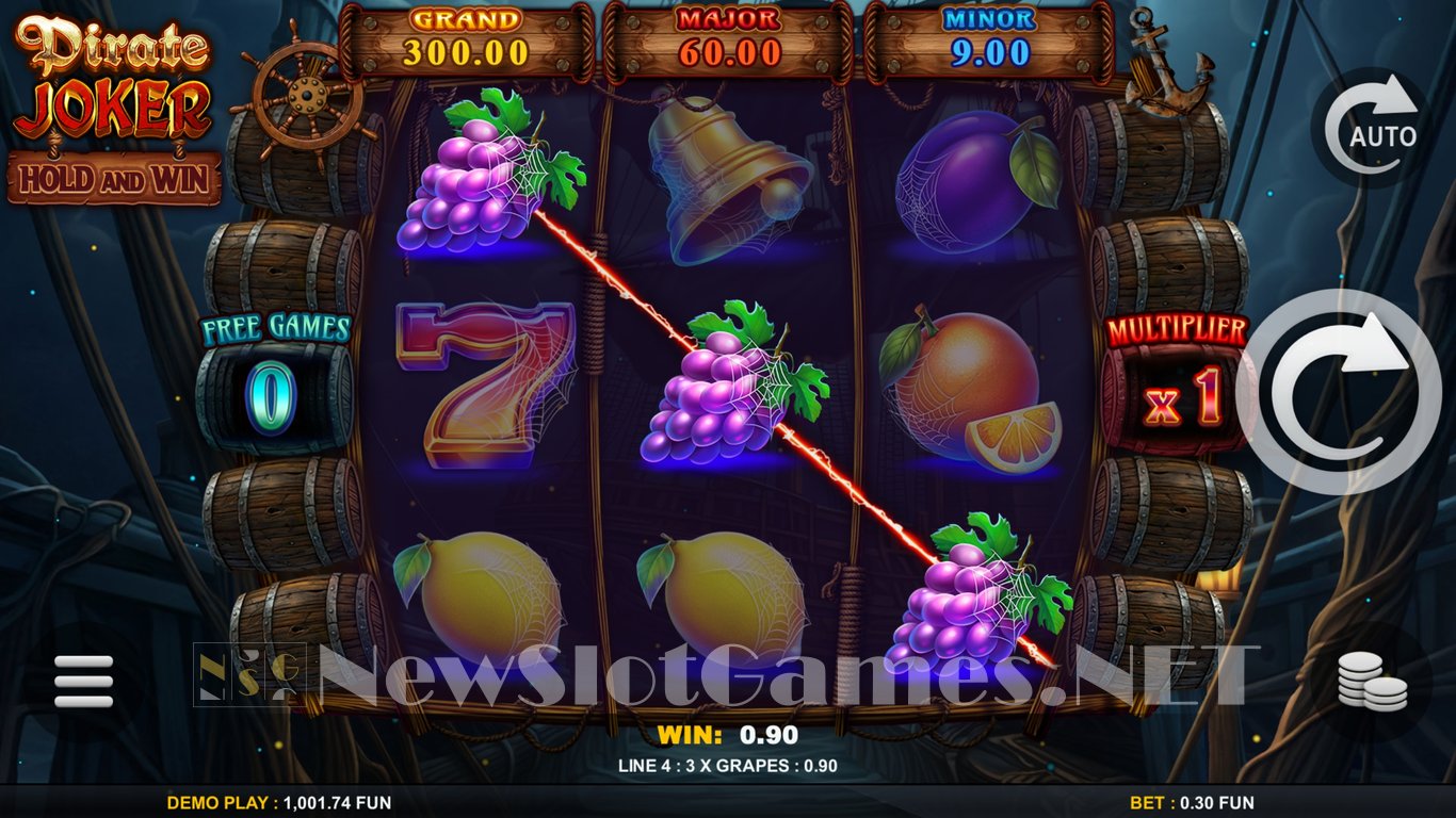 Pirate Joker Hold And Win Slot Slot Image in Demo - pic. 2