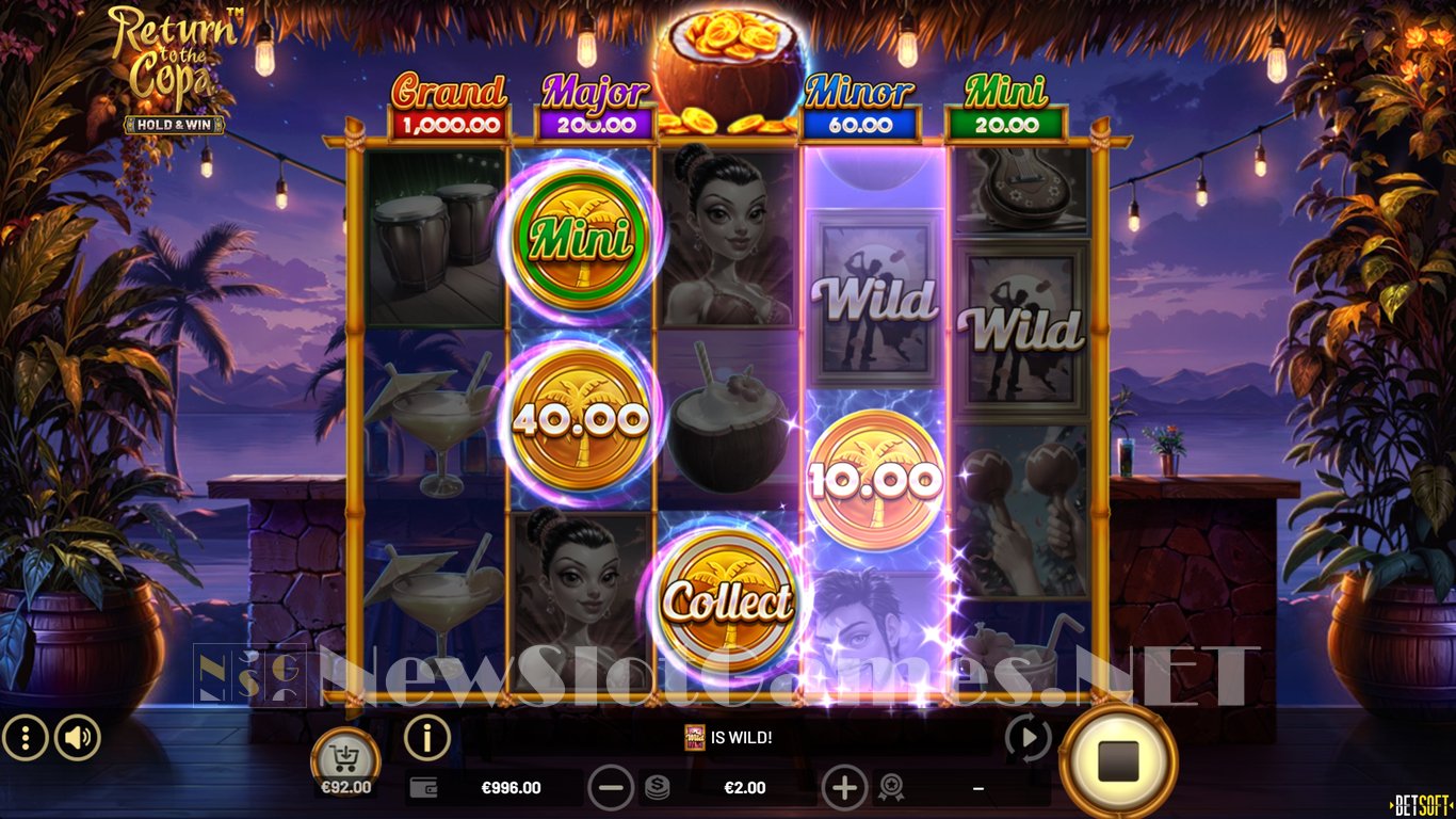 Return to the Copa Hold & Win Slot Slot Image in Demo - pic. 3