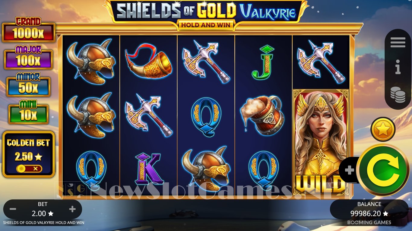 Shields of Gold Valkyrie Hold and Win Slot Slot Image in Demo - pic. 5