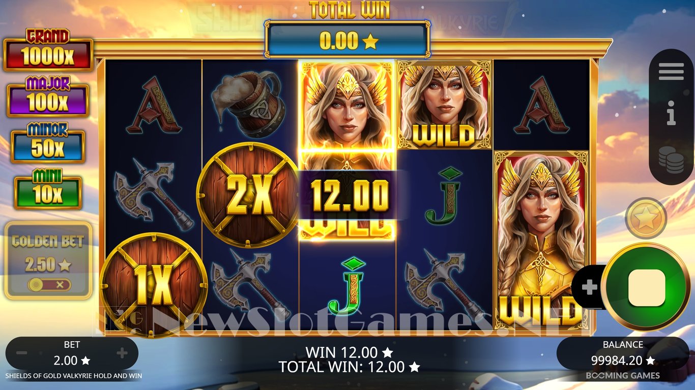 Shields of Gold Valkyrie Hold and Win Slot Slot Image in Demo - pic. 6
