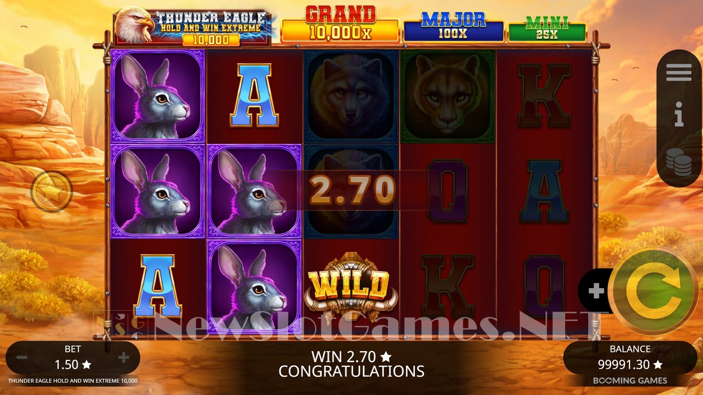 Thunder Eagle Hold and Win Extreme 10000 Slot Slot Image in Demo - pic. 3