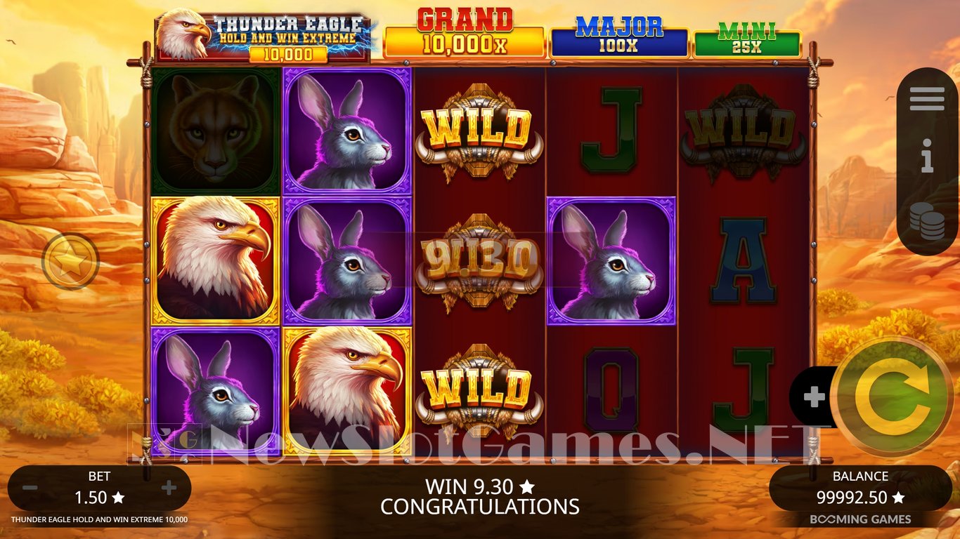 Thunder Eagle Hold and Win Extreme 10000 Slot Slot Image in Demo - pic. 5