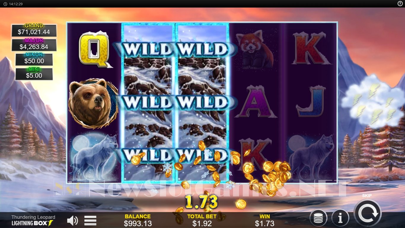 Thundering Leopard Slot Slot Image in Demo - pic. 3