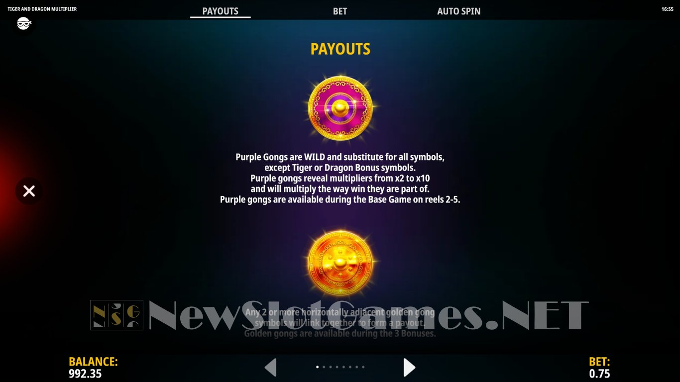 Tiger and Dragon Multiplier Slot Slot Image in Demo - pic. 6