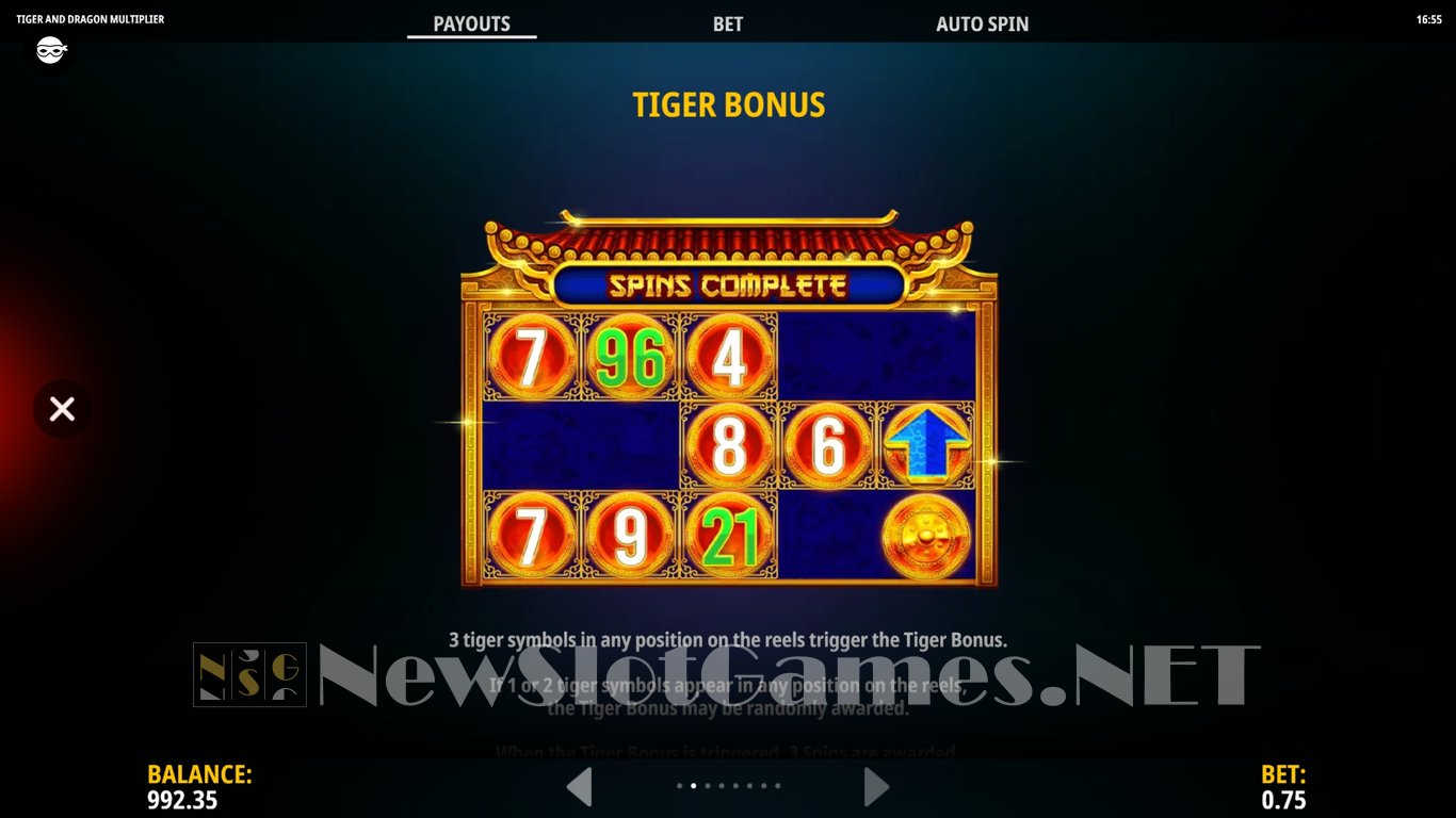 Tiger and Dragon Multiplier Slot Slot Image in Demo - pic. 7