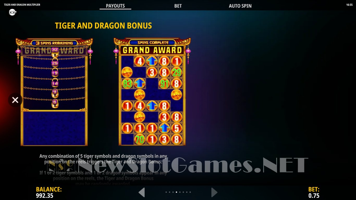 Tiger and Dragon Multiplier Slot Slot Image in Demo - pic. 8