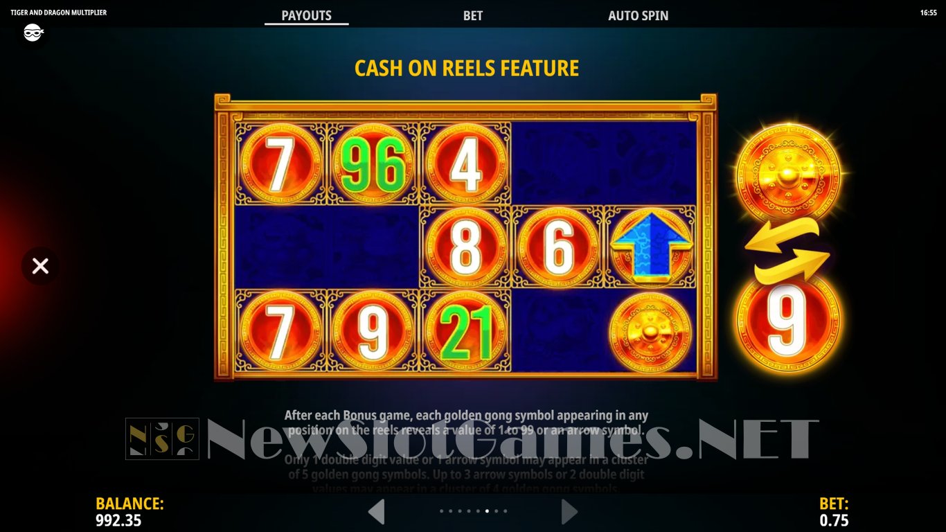 Tiger and Dragon Multiplier Slot Slot Image in Demo - pic. 9