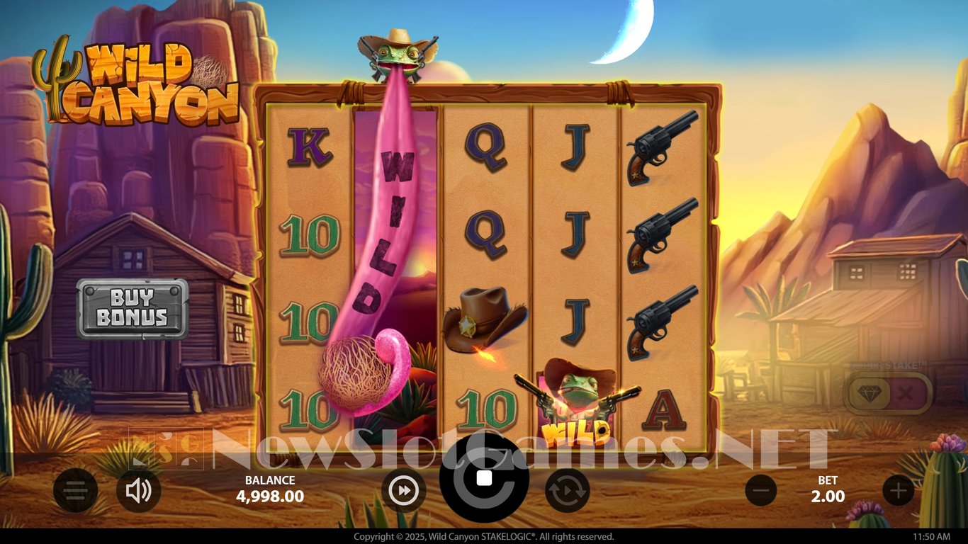 Wild Canyon Slot Slot Image in Demo - pic. 3